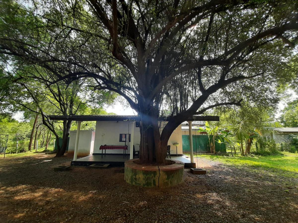 Katagamuwa Rest Hotell Kataragama Exteriör bild