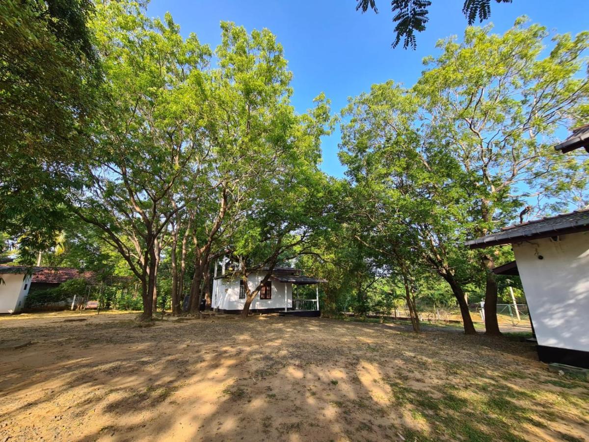 Katagamuwa Rest Hotell Kataragama Exteriör bild