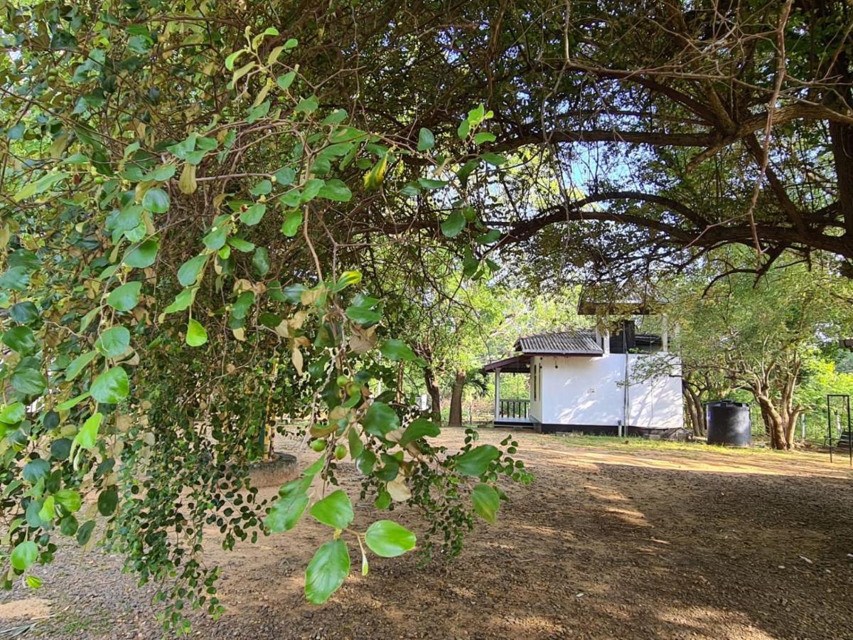 Katagamuwa Rest Hotell Kataragama Exteriör bild